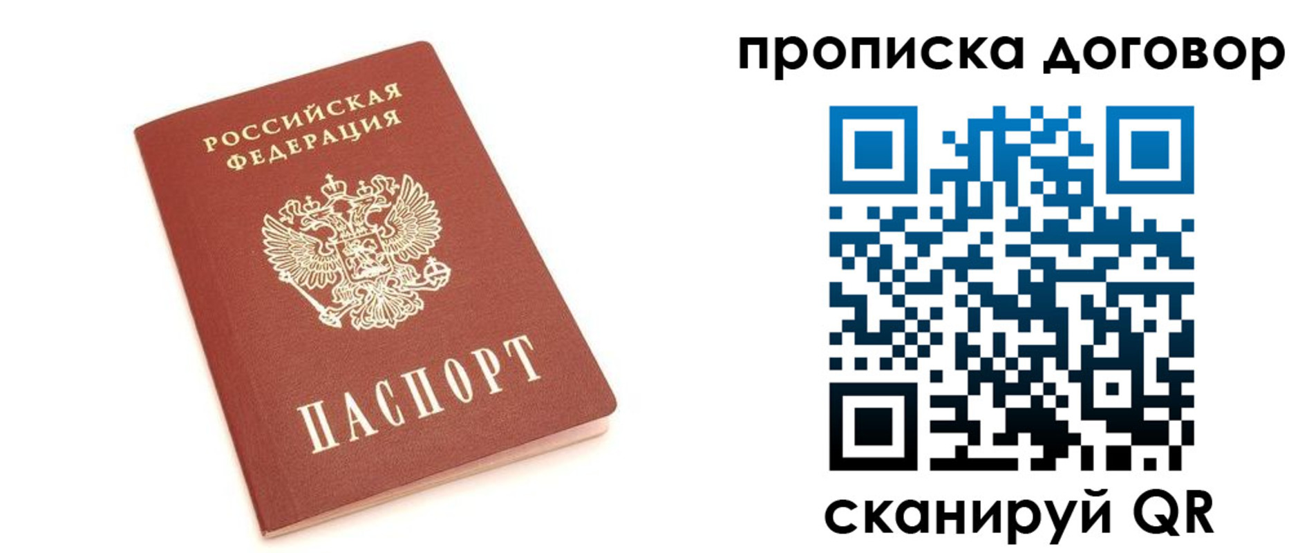 временная регистрация поиск в Благовещенске